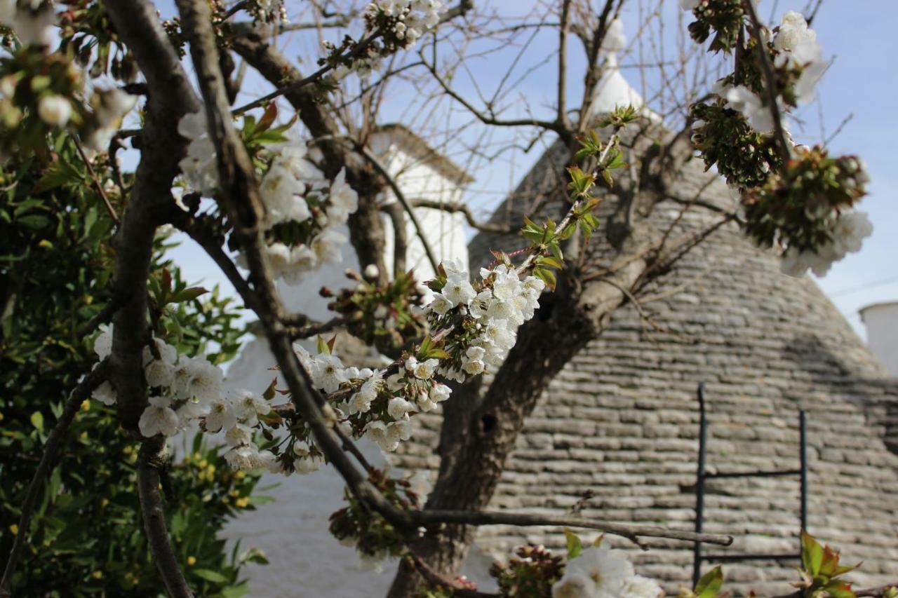 Trullo "Vicolo Fiorito" Villa Alberobello Kültér fotó